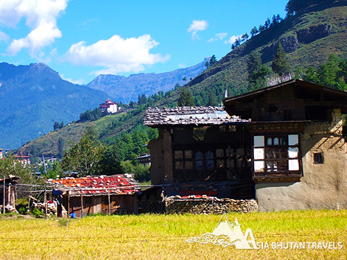 Central Bhutan Cultural Tour