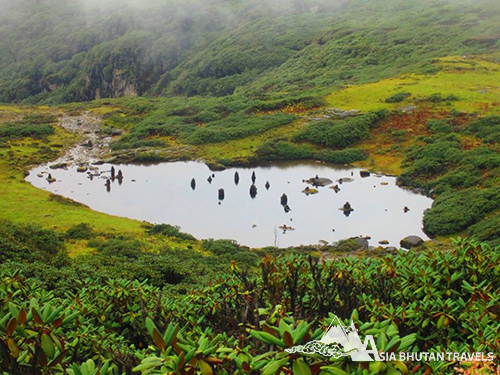 Dagala Thousand Lakes Trek